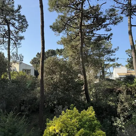 Tres Belle Maison Familiale Tanchet 6 Personnes *